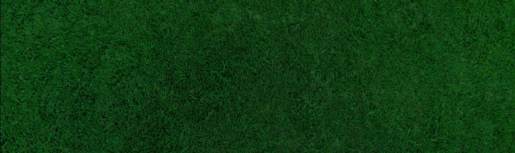 Manicured golf course turf, overhead view